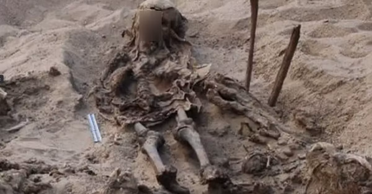 Tuy nhiên, tại sao đứa trẻ lại ở trong mộ vẫn còn là một điều bí ẩn. Ảnh: @Viện Nghiên Cứu CEI RAS.