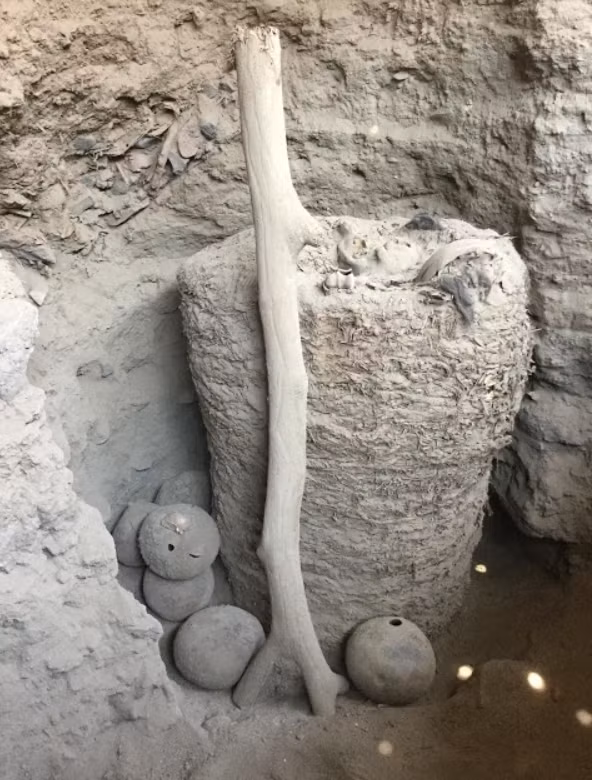 Gói tang lễ này thực chất là một lớp bọc đặc biệt hoạt động gần giống như một chiếc quan tài. Ảnh: @Trung tâm nghiên cứu khảo cổ CReA-Patrimoine.