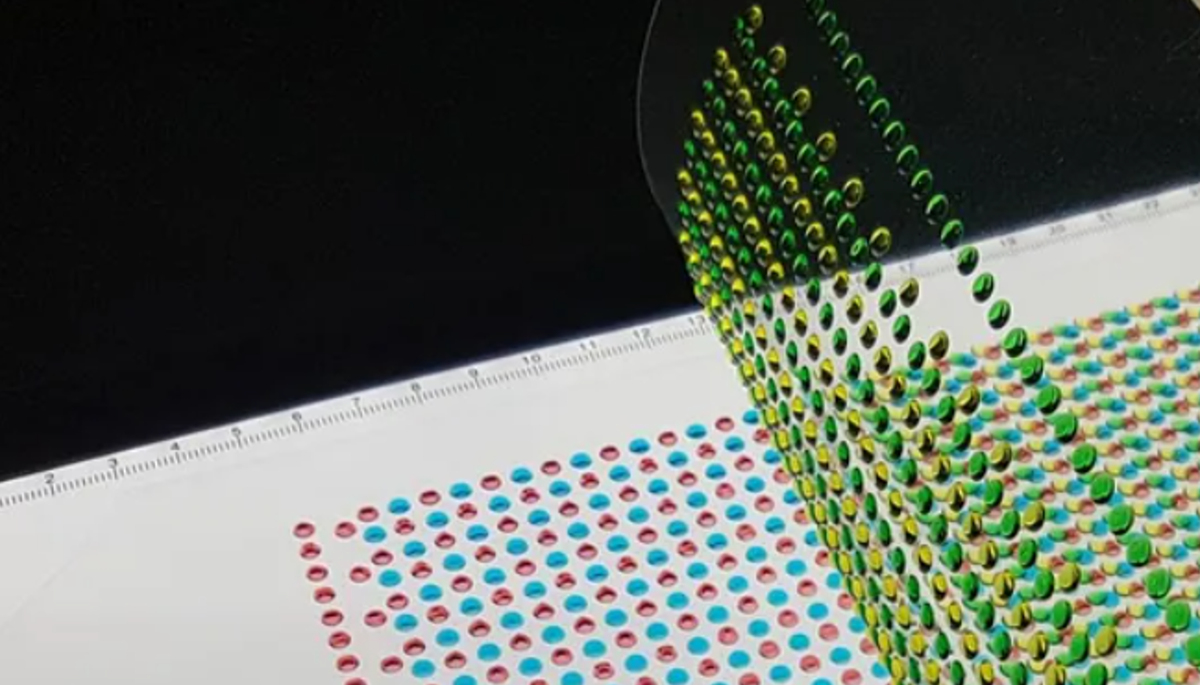 Sau đó, họ in các tế bào điện làm từ gel natri tích điện dương thành dạng lớp chứa các nút nhỏ, và in các tế bào gel clorua hòa tan trong hydrogel gốc nước tích điện âm thành dạng lớp chứa các nút nhỏ. Ảnh: @Michael Meyer.