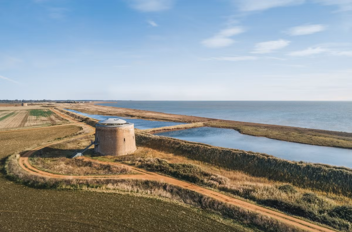 Vốn dĩ rất nhiều trẻ em thích cá mập. Những kẻ thống trị đại dương to lớn này thu hút trí tưởng tượng của trẻ em và cả người lớn nữa. Và không có loài cá mập nào lớn hơn, nhiều răng hơn và có hàm lớn hơn loài cá mập megalodon. Ảnh: @Komoot.