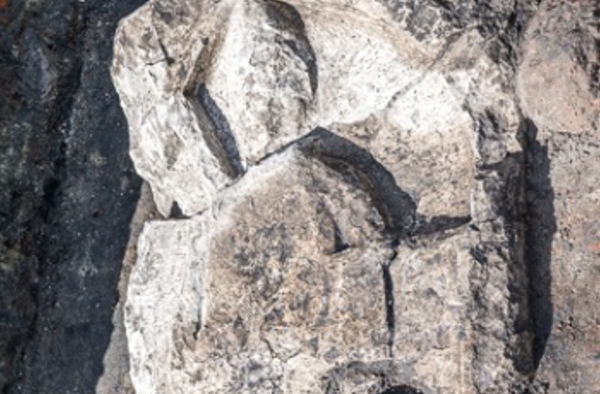 Sau khi tấm bia mộ của hiệp sĩ được khai quật và bảo quản hoàn toàn, nó sẽ được gửi đến Bảo tàng Khảo cổ học ở Gdansk để nghiên cứu và bảo tồn thêm. Ảnh: @Tổ chức ArcheoScan.