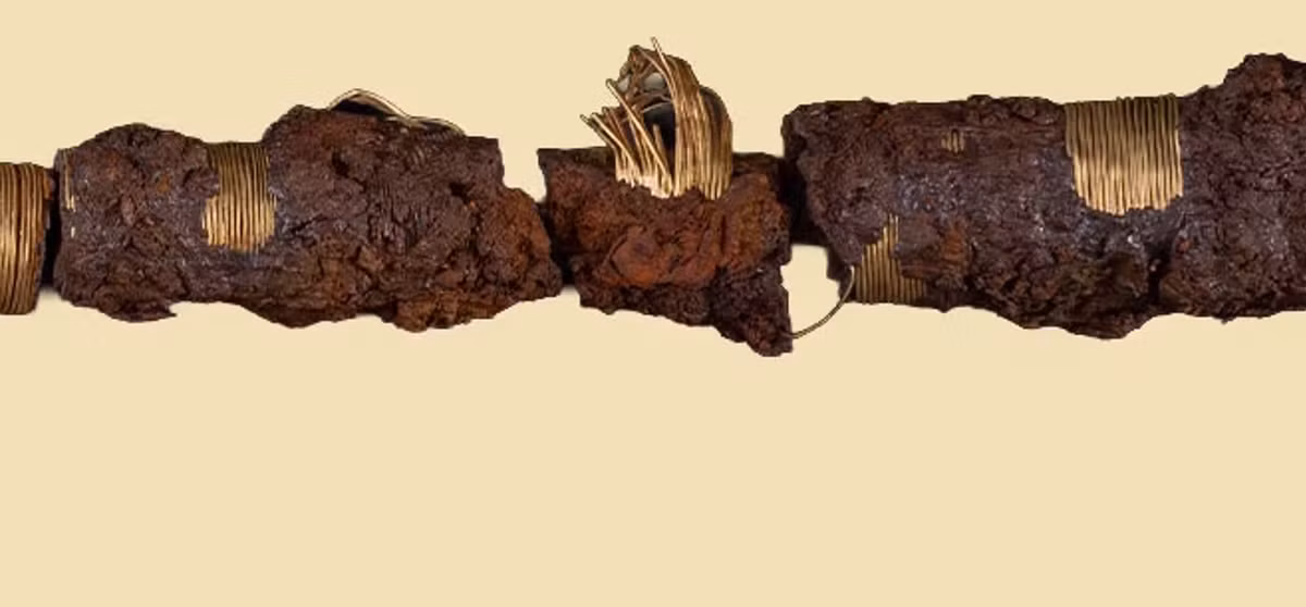 Điều làm nên sự đặc biệt thực sự của những vũ khí này chính là sự kết hợp giữa công nghệ sắt và trang trí vàng. Ảnh: @Bảo tàng Vestsjælland.