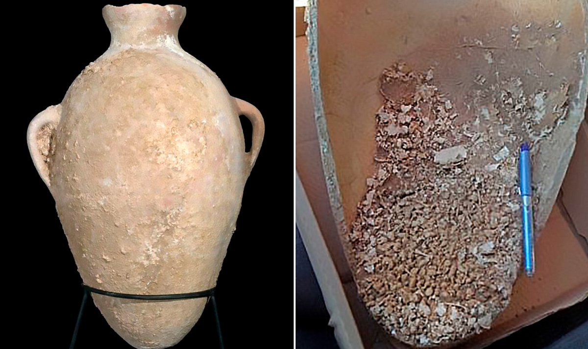 Các nghiên cứu khảo cổ chuyên sâu đã tìm thấy hài cốt của ít nhất chín con cóc không đầu bên trong chiếc bình. Ảnh: @Cơ quan Cổ vật Israel.