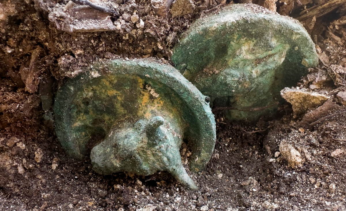 Ngoài vòng hoa, đồ trang sức, chúng còn bao gồm một chiếc vòng tay bạc, một chiếc nhẫn bạc được chế tác tinh xảo. Ảnh: @Viện Hàn lâm Khoa học Bulgaria.