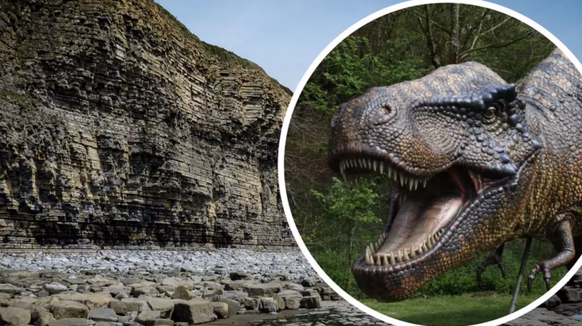 Trong thập kỷ qua, một số hóa thạch khủng long đã được báo cáo ở Wales (một quốc gia thuộc Vương quốc Liên hiệp Anh và Bắc Ireland và nằm trên đảo Anh), nhưng thông tin chi tiết về điều kiện sống của chúng vẫn chưa rõ ràng. Ảnh: @Owain Evans.