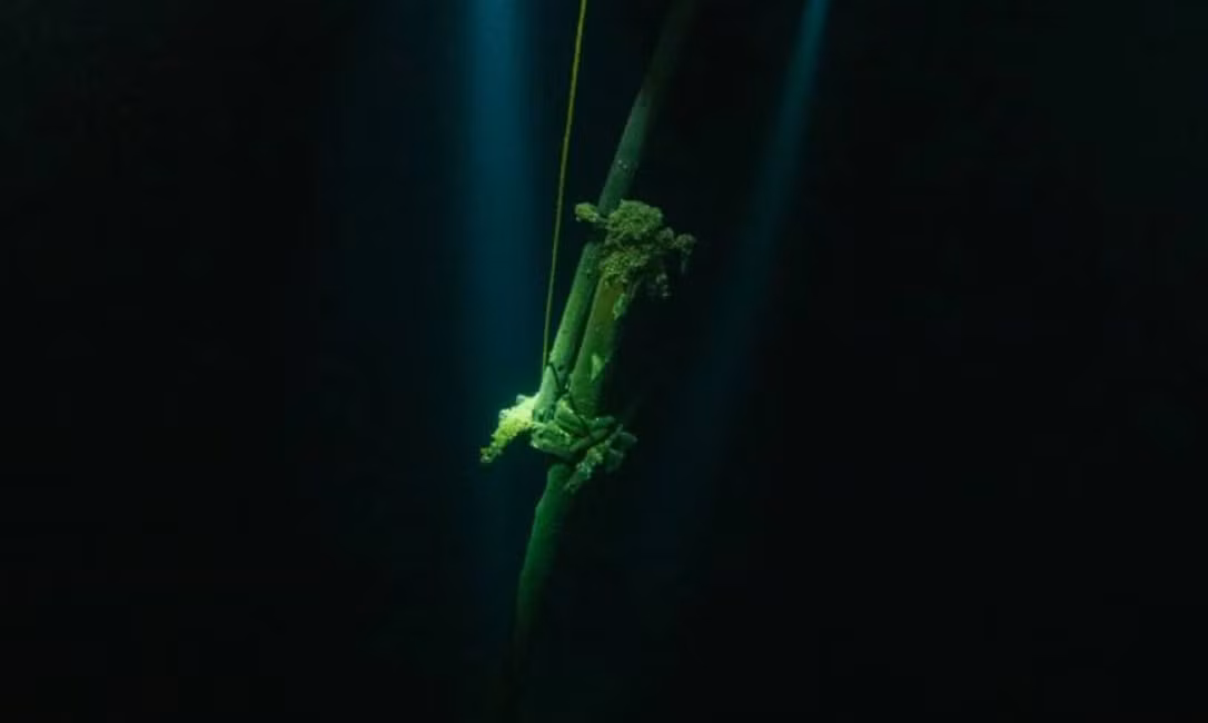 Cụ thể, ở độ sâu 112 mét dưới đáy hồ, nhóm chuyên gia tìm thấy xác một con tàu đắm bí ẩn phủ đầy trai. Điều kỳ lạ là xác tàu này được bảo quản rất tốt đến nỗi hai cột buồm vẫn còn đứng thẳng. Ảnh: @Hội đồng Khảo sát dưới nước Ontario.