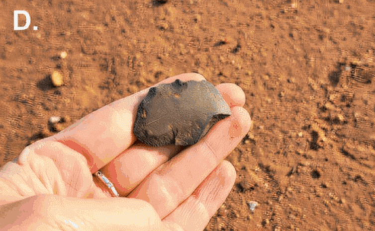 Qua đó, khám phá này cho thấy sự khéo léo và tháo vát cần thiết của người Pitta Pitta để tồn tại trong một vùng khí hậu khắc nghiệt. Ảnh: @Yinika Perston.