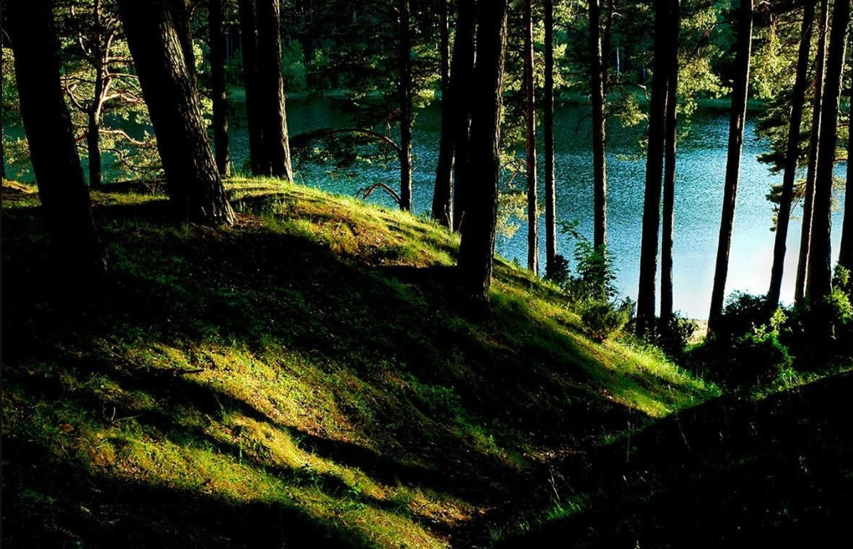 Sau năm ngày tìm kiếm cẩn thận và kiên nhẫn, với máy dò kim loại được đặt trên mặt đất trong khu rừng Kociewie, các thành viên của Hiệp hội Kociewskie Poszukiwacze bất ngờ tìm thấy một vật thể lạ. Ảnh: @Hiệp hội Kociewskie Poszukiwacze.