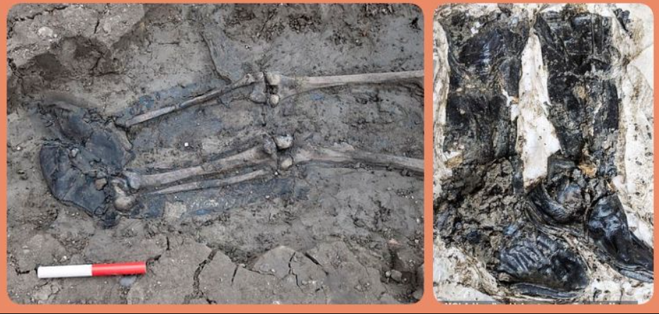 Ông ấy có thể mất vào cuối những năm 1.400 hoặc đầu những năm 1.500 Sau Công Nguyên. Điều đáng lưu ý là người đàn ông này được chôn cất cùng hai chiếc ủng cao. Ảnh: @MOLA Headland.