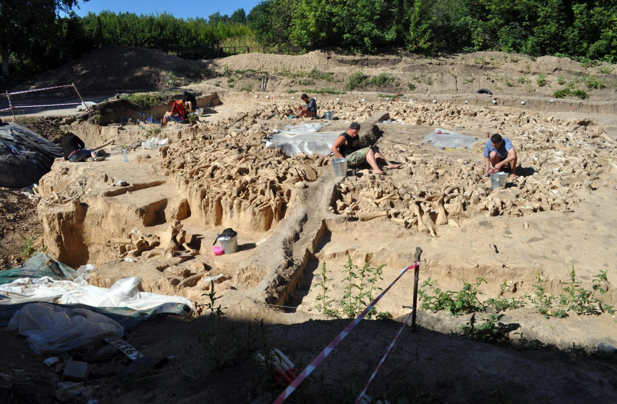 Gần đây, khi làm việc tại khu di tích khảo cổ Zaraysk của Nga, các chuyên gia khảo cổ đến từ Viện Hàn lâm Khoa học Nga đã có một phát hiện bất thường. Ảnh: @Viện Hàn lâm Khoa học Nga.