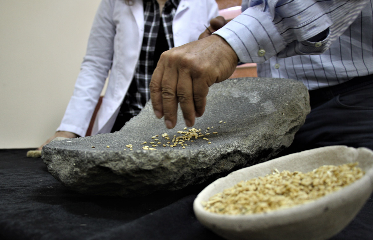 Lúa mì được nghiền nát và xay thành bột khi đá xay phía trên cọ xát với mảnh đá xay phía dưới, nhờ ma sát giữa hai mảnh đá. Ảnh: @Đại học Van Yüzüncü Yıl.