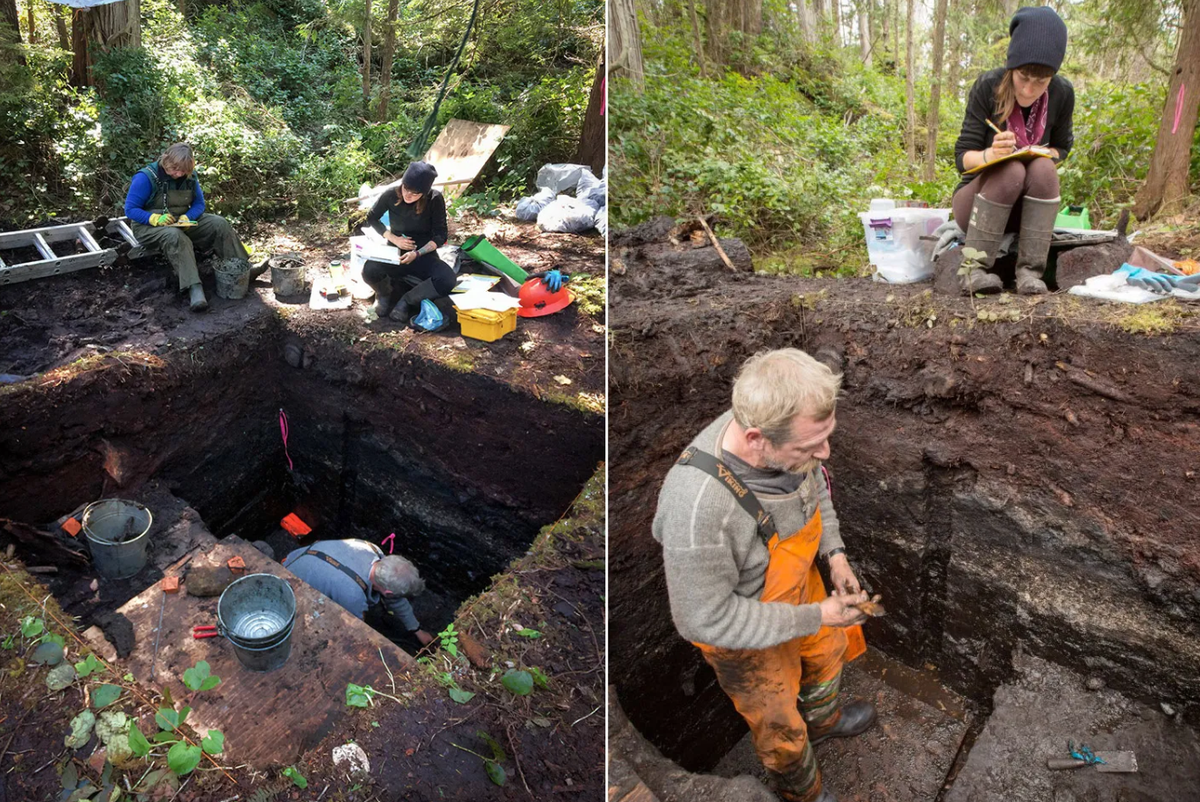 Nghiên cứu mới cho thấy rằng, trong kỷ băng hà cuối cùng, người dân bản địa cổ xưa đã sinh sống ở khu vực này, xây dựng các nơi trú ẩn đơn giản. Ảnh: @Bảo tàng Quốc gia Canada.