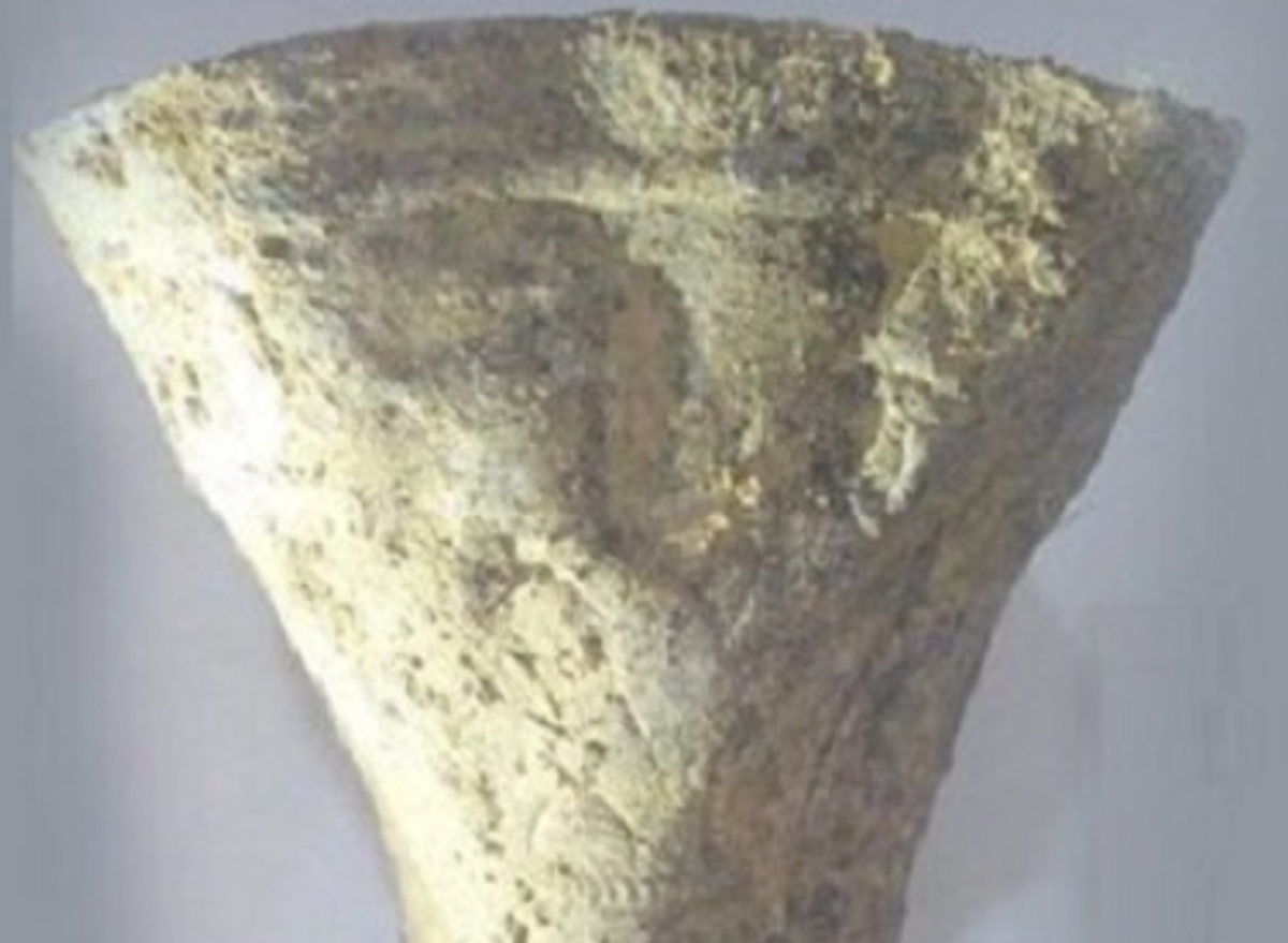 Phát biểu với hãng thông tấn chính thức của Iran IRNA, ông Nadir Fellahi, Chủ tịch Tổ chức Di sản văn hóa, Thủ công mỹ nghệ và Du lịch Ardabil cho biết, chiếc cốc này làm hoàn toàn từ chất liệu bạc thời cổ đại, và nó có thể được so sánh ngang bằng với những chiếc cốc bạc được phát hiện ở vùng Hasanlu thuộc Tây Azerbaijan. Ảnh: @Bảo tàng Khảo cổ học Halhal.