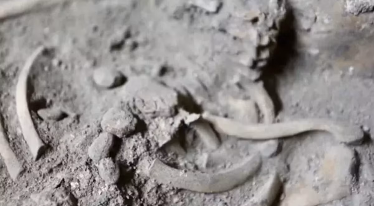 Kích thước nhỏ của hộp sọ và các khớp xương cho thấy, hài cốt thuộc về một đứa trẻ nhỏ. Ảnh: @PR Thai Government.