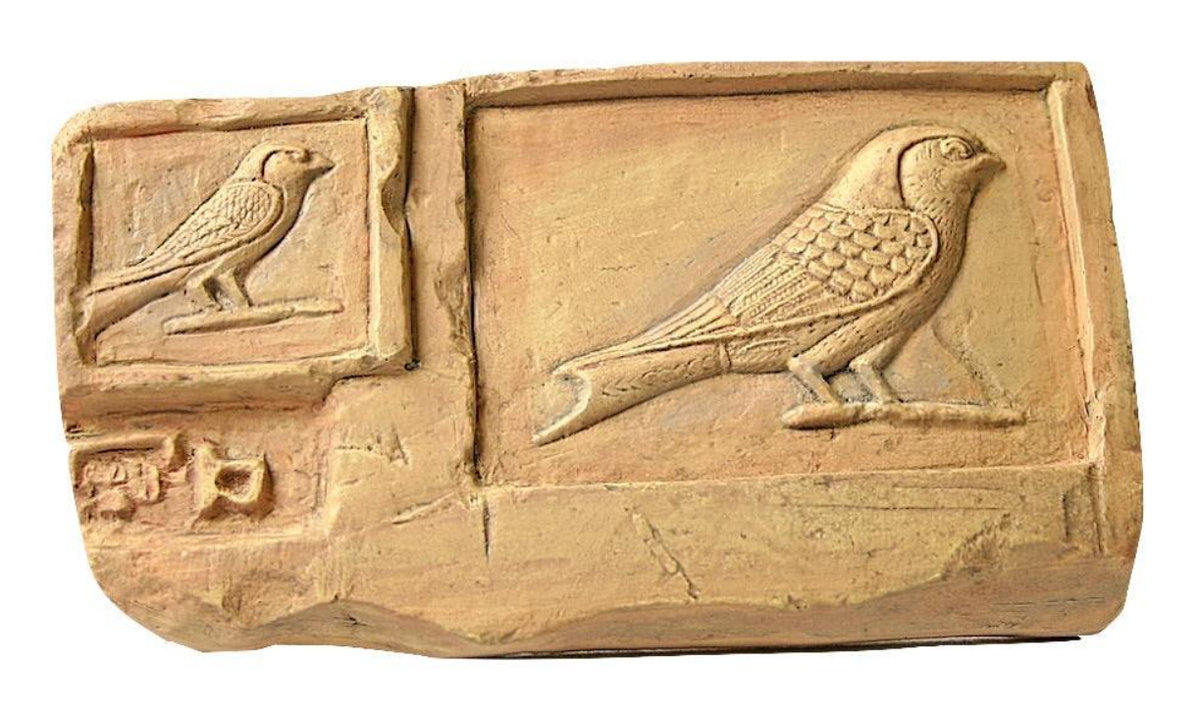 Giáo sư Ikram cho biết: "Khi chúng tôi chứng kiến lượng thức ăn khổng lồ trong con chim cắt này, nhiều khả năng người Ai Cập cổ đại đã nuôi nhốt loài chim này, trước khi ướp xác chúng để dâng tế trong các nghi lễ”. Ảnh: @Đại học Cairo.