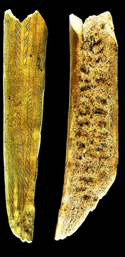 Sau khi hoàn thành chức năng ban đầu, chiếc rìu bị vỡ thành nhiều mảnh và được tái sử dụng như một phần của công cụ khác, có thể là một chiếc lao. Người ta đã tìm thấy dấu hiệu hao mòn và sửa đổi trên các cạnh, cũng như bằng chứng về việc tiếp xúc với không khí trước khi nó bị chôn vùi lần cuối cùng dưới sông. Ảnh: @Lars Larsson.