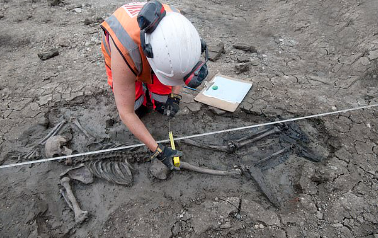 Đó là bộ hài cốt nằm trọn trong bùn của sông Thames thơ mộng. Ảnh: @MOLA Headland.