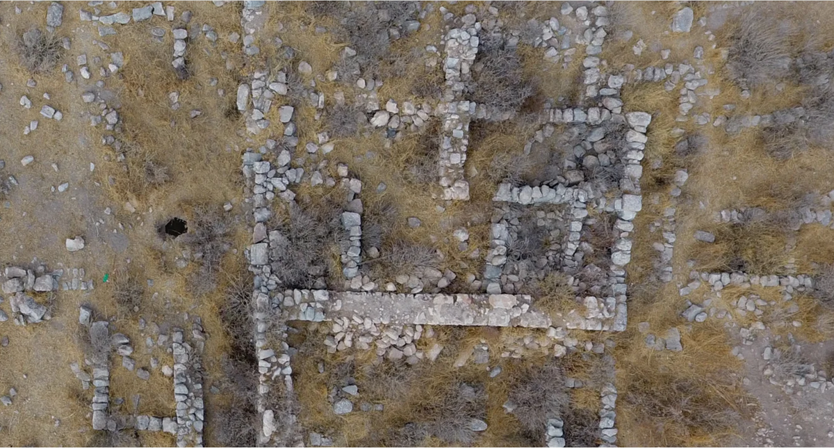 Phát hiện này bao gồm các công trình nhà ở hình tháp kỳ lạ khổng lồ, kho chứa ngũ cốc, chuồng ngựa. Ảnh: @Đại học Manchester.