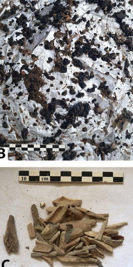 Họ cũng tìm thấy xương động vật và bằng chứng về việc sử dụng lửa, chẳng hạn như than củi và đá lửa bị cháy. Ảnh: @Đại học Hebrew Jerusalem.