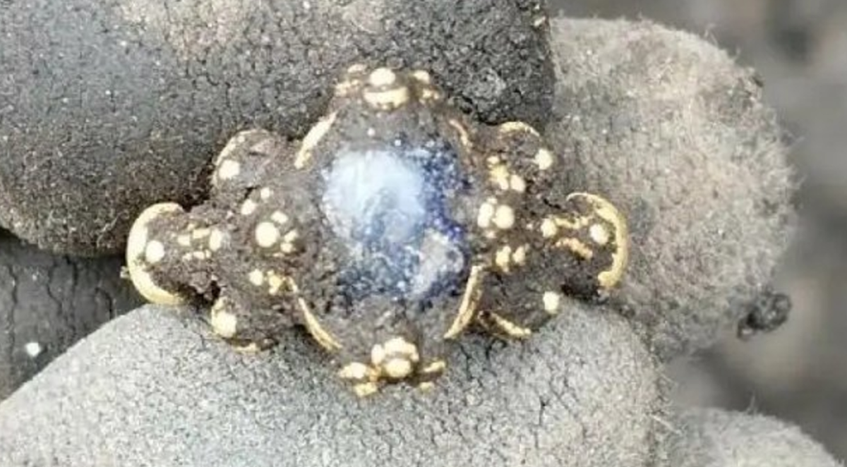 Ngay cái nhìn đầu tiên, chiếc nhẫn vàng gây ấn tượng nhờ họa tiết trang trí tinh xảo và một viên đá ngọc bích hình bầu dục màu xanh lam ở giữa. Ảnh: @Viện Nghiên cứu Di sản Văn hóa Na Uy.