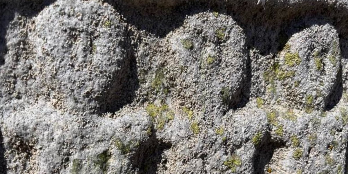 Nhưng một nghiên cứu về biểu tượng học và hình tượng học đã đi sâu vào các biểu tượng này và đề xuất một giả thuyết táo bạo. Ảnh: @Đại học Valencia.