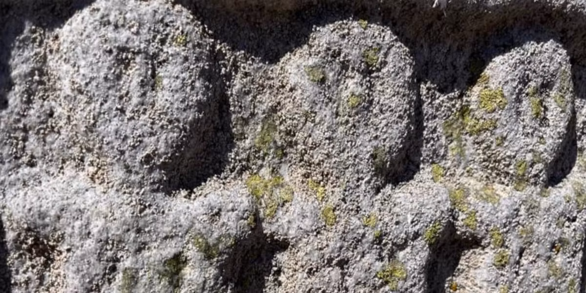 Nhưng một nghiên cứu về biểu tượng học và hình tượng học đã đi sâu vào các biểu tượng này và đề xuất một giả thuyết táo bạo. Ảnh: @Đại học Valencia.