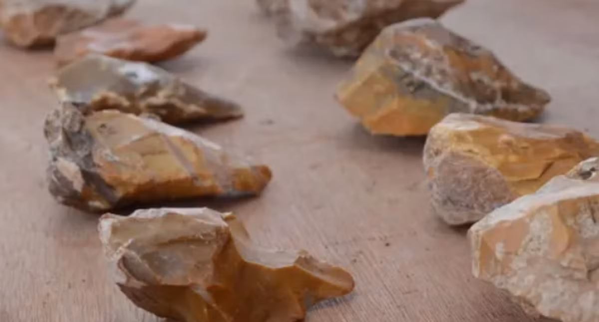 Maayan Shemer của Cơ quan Cổ vật Israel cho biết: "Khám phá này thật đáng kinh ngạc vì tình trạng bảo quản của các hiện vật và ý nghĩa của chúng trong việc giúp chúng ta hiểu biết về nền văn hóa vật chất cổ đại này". Việc nghiên cứu sâu di tích tiền sử này sẽ đóng góp rất lớn vào việc hiểu biết rõ hơn về lối sống và hành vi của con người trong Thời Kỳ Đồ Đá Cũ. Ảnh: @Đại học Tel Aviv.