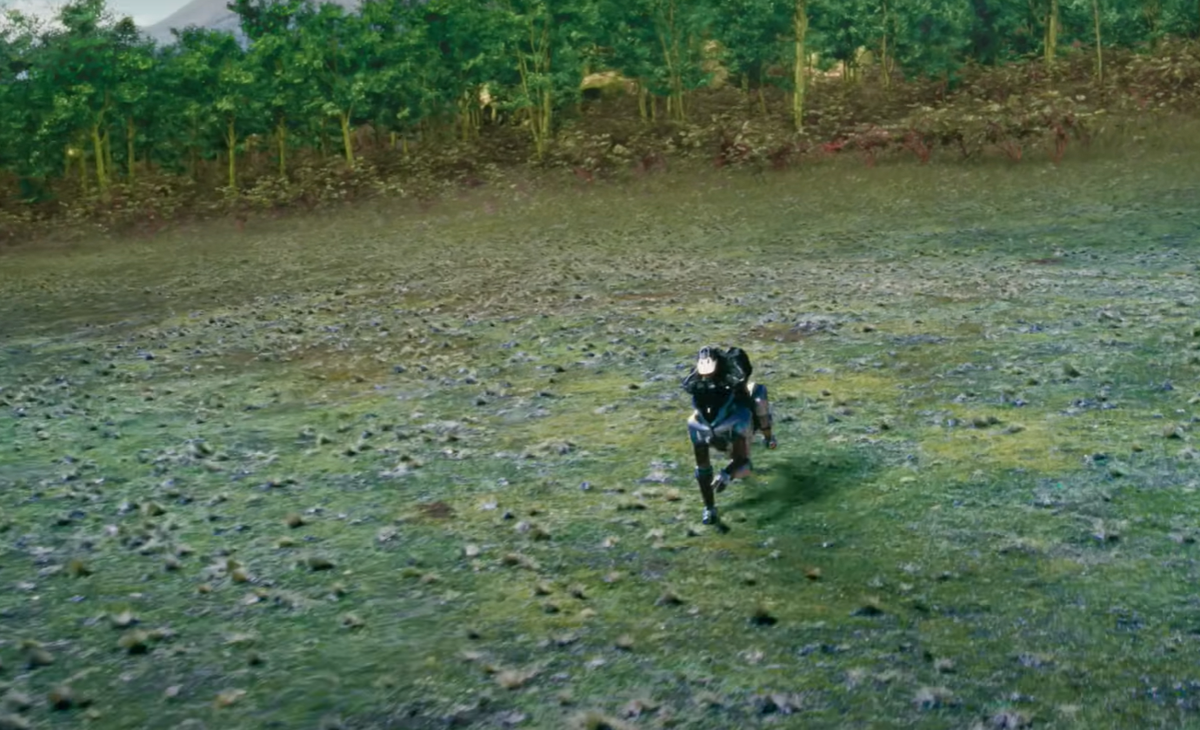 Những móng guốc này có thể thích nghi với nhiều địa hình khác nhau, bao gồm đồng cỏ, vùng đá hay bãi đổ nát.Ảnh: @Kawasaki.