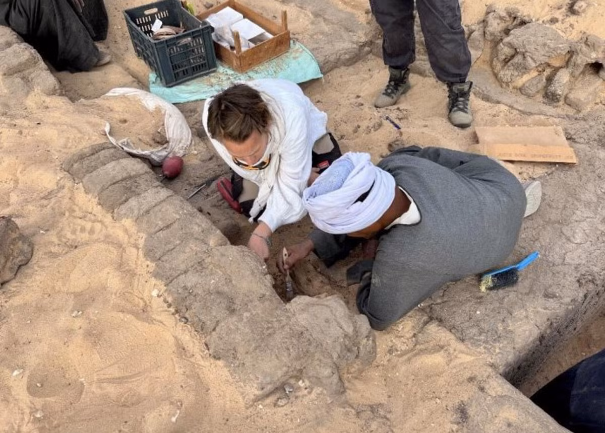 Các dòng chữ khắc cổ đại cho thấy, Meret-Neith từng phụ trách các cơ quan chính quyền trung ương, chẳng hạn như kho bạc, điều này củng cố giả thuyết rằng bà đóng một vai trò quan trọng trong lịch sử Vương triều thứ nhất của Ai Cập cổ đại. Ảnh: @Hội Đồng Cổ Vật Tối Cao Ai Cập.