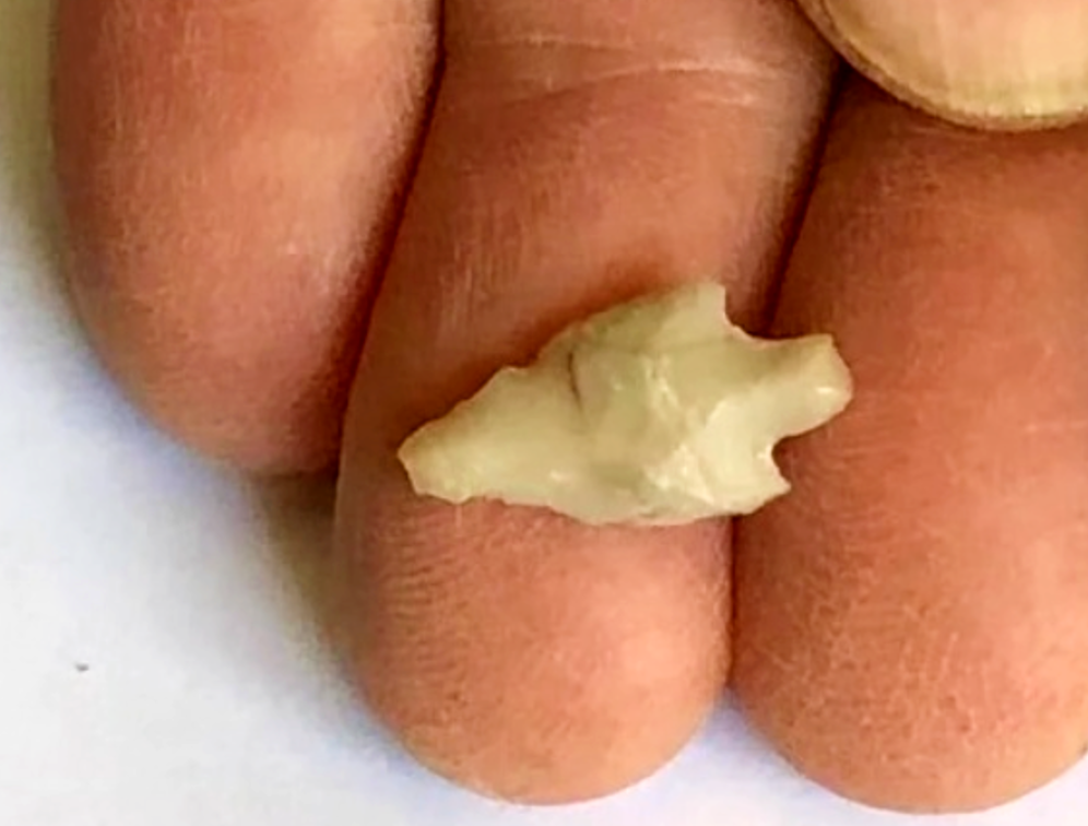 Theo đánh giá ban đầu, đây là đầu mũi tên nhỏ nhất còn sót lại từ Thời Kỳ Đồ Đá Mới được tìm thấy. Ảnh: @Cơ Quan Cổ Vật Israel.