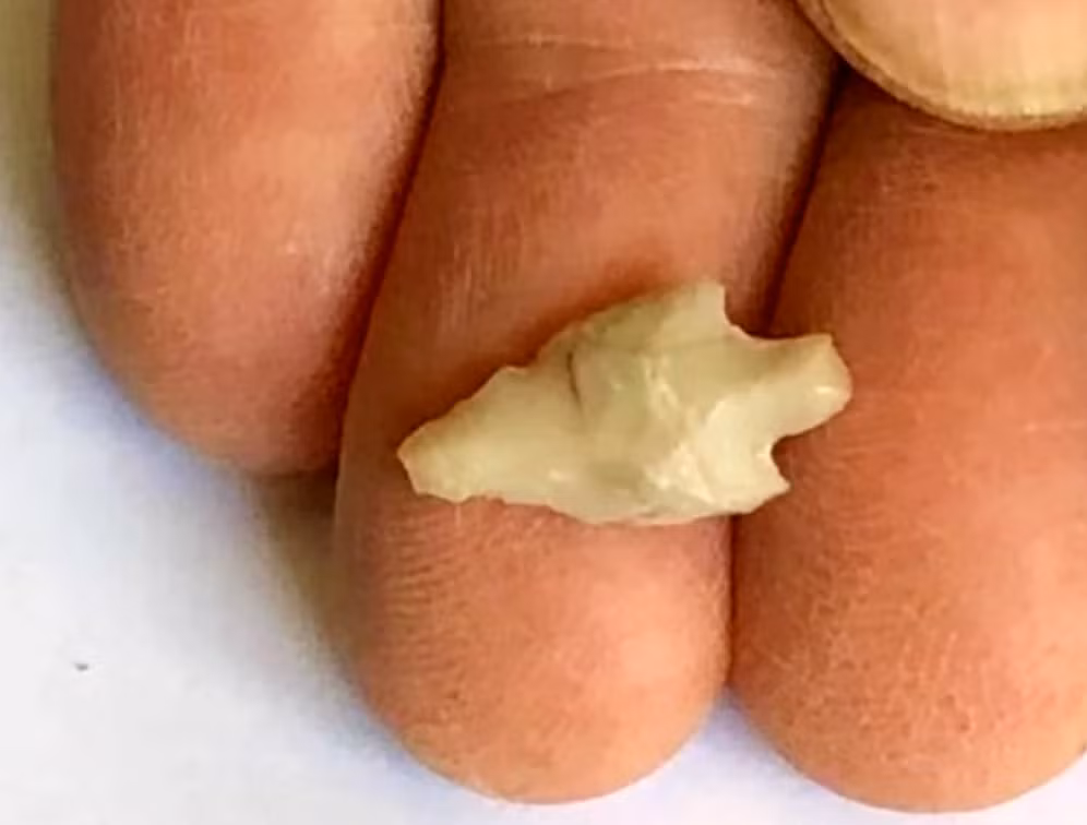 Theo đánh giá ban đầu, đây là đầu mũi tên nhỏ nhất còn sót lại từ Thời Kỳ Đồ Đá Mới được tìm thấy. Ảnh: @Cơ Quan Cổ Vật Israel.