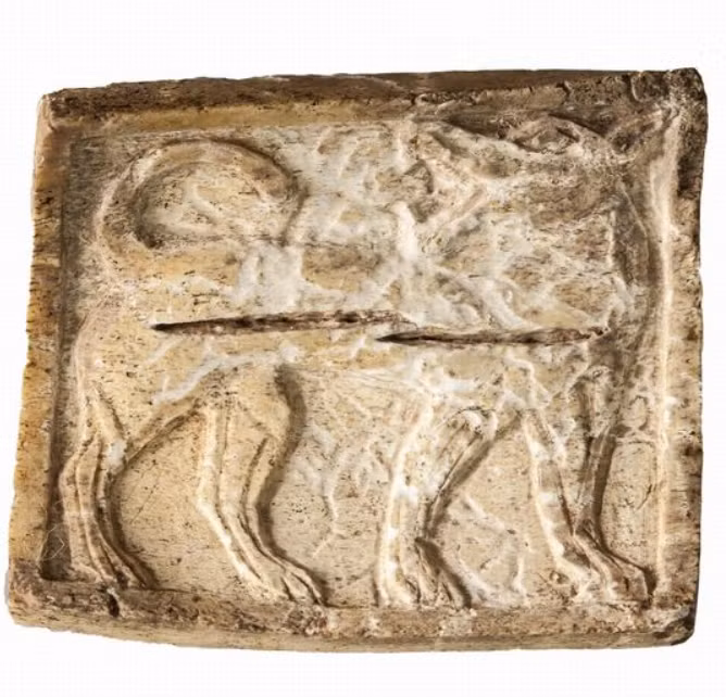 Phát hiện này có thể định hình lại một cách cơ bản sự hiểu biết của giới học giả về văn hóa Thời Kỳ Đồ Sắt ở Yozgat. Ảnh: @Đại học Abdullah Gül.