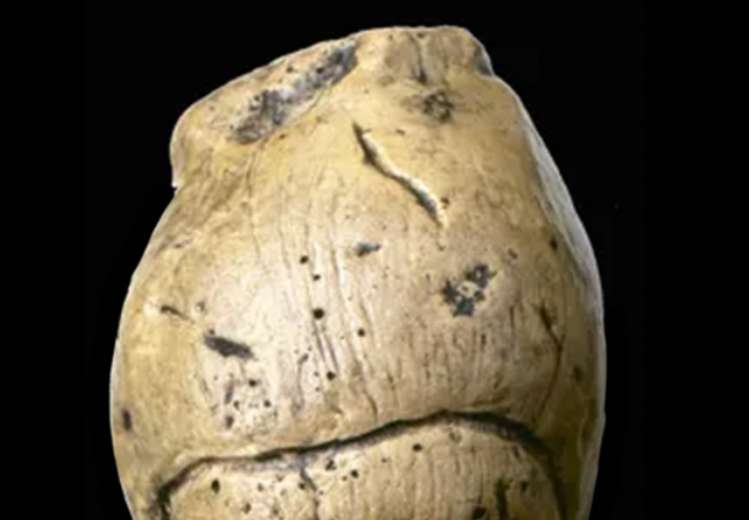 Người phụ nữ có thể búi tóc hoặc đội mũ lạ. Ảnh: @Viện Nghiên cứu Khảo cổ Cộng hòa Séc.