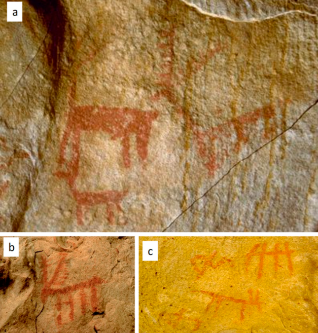 Nghệ thuật khắc đá gần eo biển Gibraltar đang hé lộ những hiểu biết mới về cách con người tiền sử thể hiện ý tưởng, niềm tin và bản sắc của mình trong suốt hàng chục nghìn năm. Ảnh: @Guadalupe Monge.