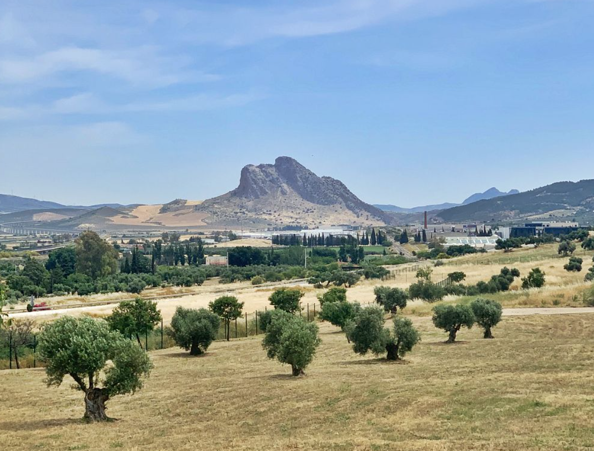 Công trình ngôi mộ đá này được xác định là Dolmen I thuộc nghĩa trang La Lentejuela ở Teba, tỉnh Málaga. Ảnh: @Đại học Cádiz.