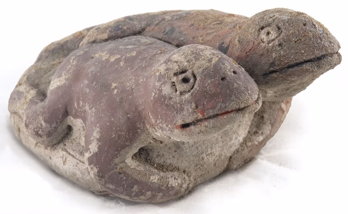 Đó là tượng ếch/ cóc đôi, dài khoảng 12 cm, bức tượng mô tả hai con vật dính liền với nhau ở chân sau, ước tính có niên đại khoảng 3.800 năm tuổi. Ảnh: @Bảo Tàng Khảo Cổ Caral.