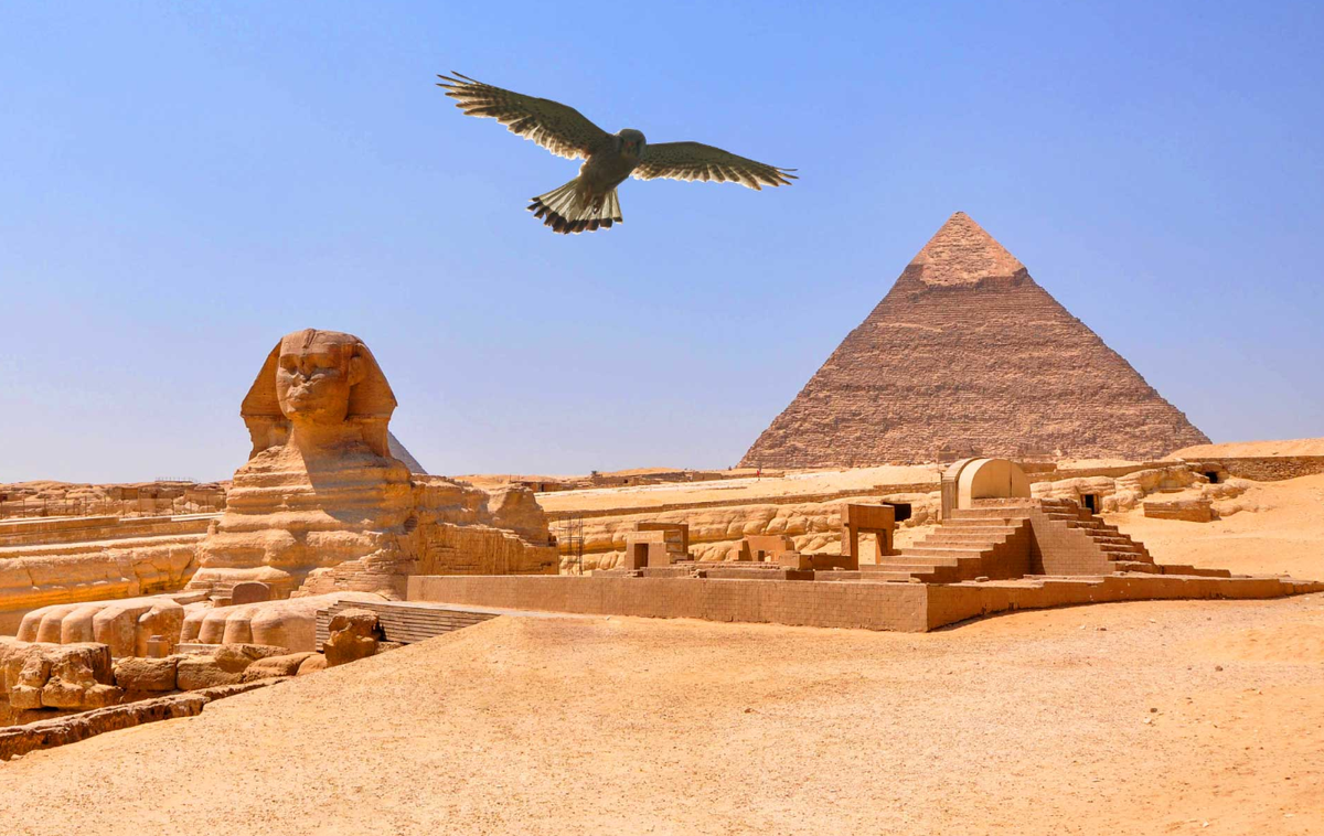 Giáo sư Salima Ikram thuộc Đại học Cairo, Ai Cập, tác giả chính của nghiên cứu này cho biết, ở Ai Cập cổ đại, người ta thường chế biến các loài chim làm lễ vật cúng tế, bằng cách moi ruột và phơi khô, sau đó nhúng vào nhựa nóng chảy và gói lại rồi đem đi dâng tế. Ảnh: @Đại học Cairo.