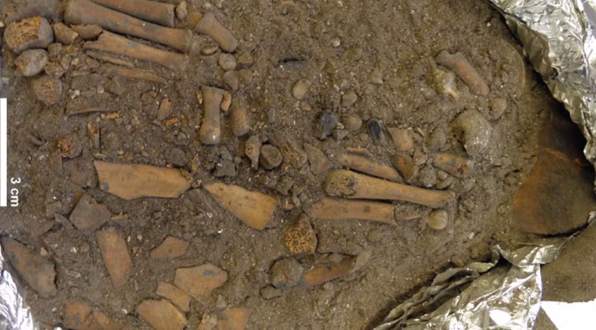 Thậm chí, một viên đá cuội màu đất son được đặt dưới đầu đứa trẻ khi chúng được chôn cất. Ảnh: @Đại học Quốc gia Úc.