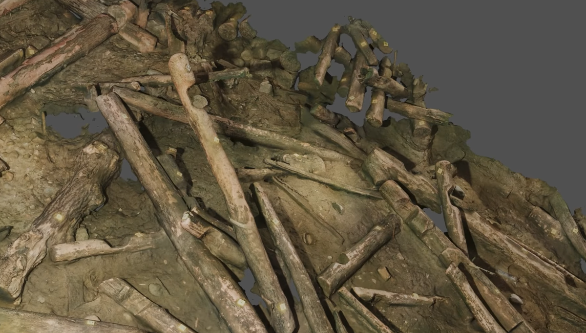 Được tìm thấy trong một cuộc khai quật dưới nước, khuôn mặt được chạm khắc tinh xảo này là một phần của thanh xà từng đỡ một thành lũy phòng thủ. Ảnh: @Đại học Nicolaus Copernicus.