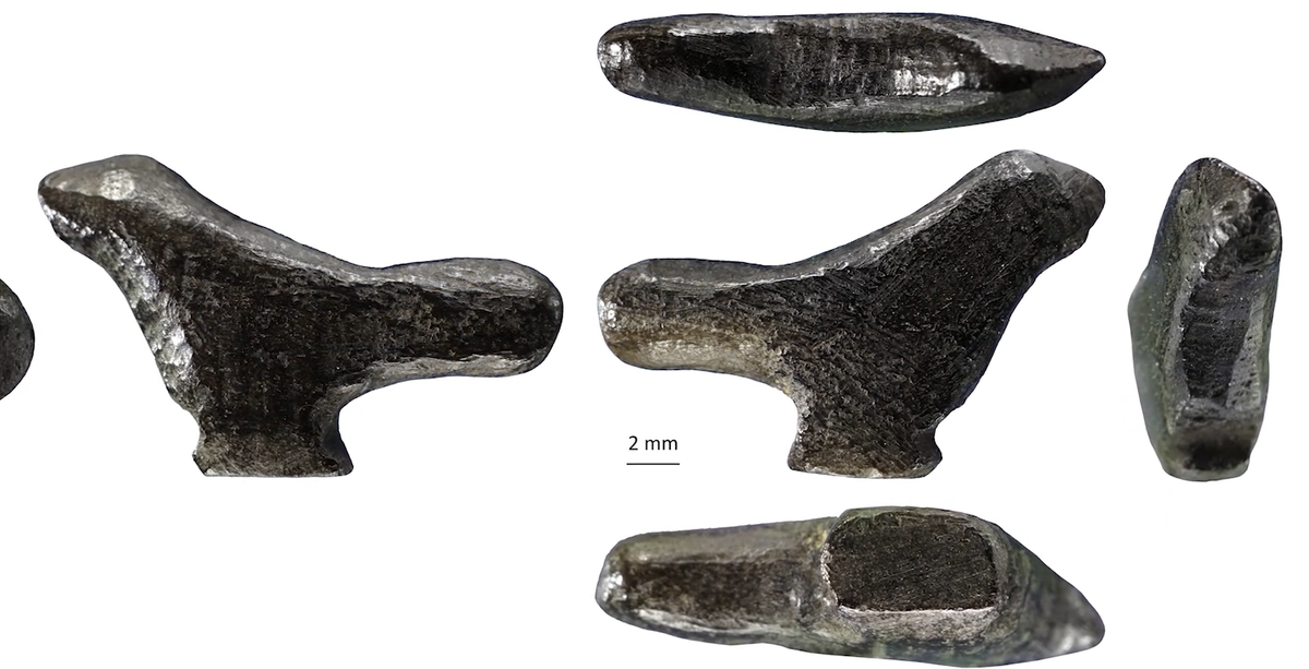 Phong cách của bức tượng nhỏ này rất độc đáo và khác biệt đáng kể so với tất cả các tượng chim Thời Đồ Đá Cũ khác đã biết. Ảnh: @Zhanyang và cộng sự.