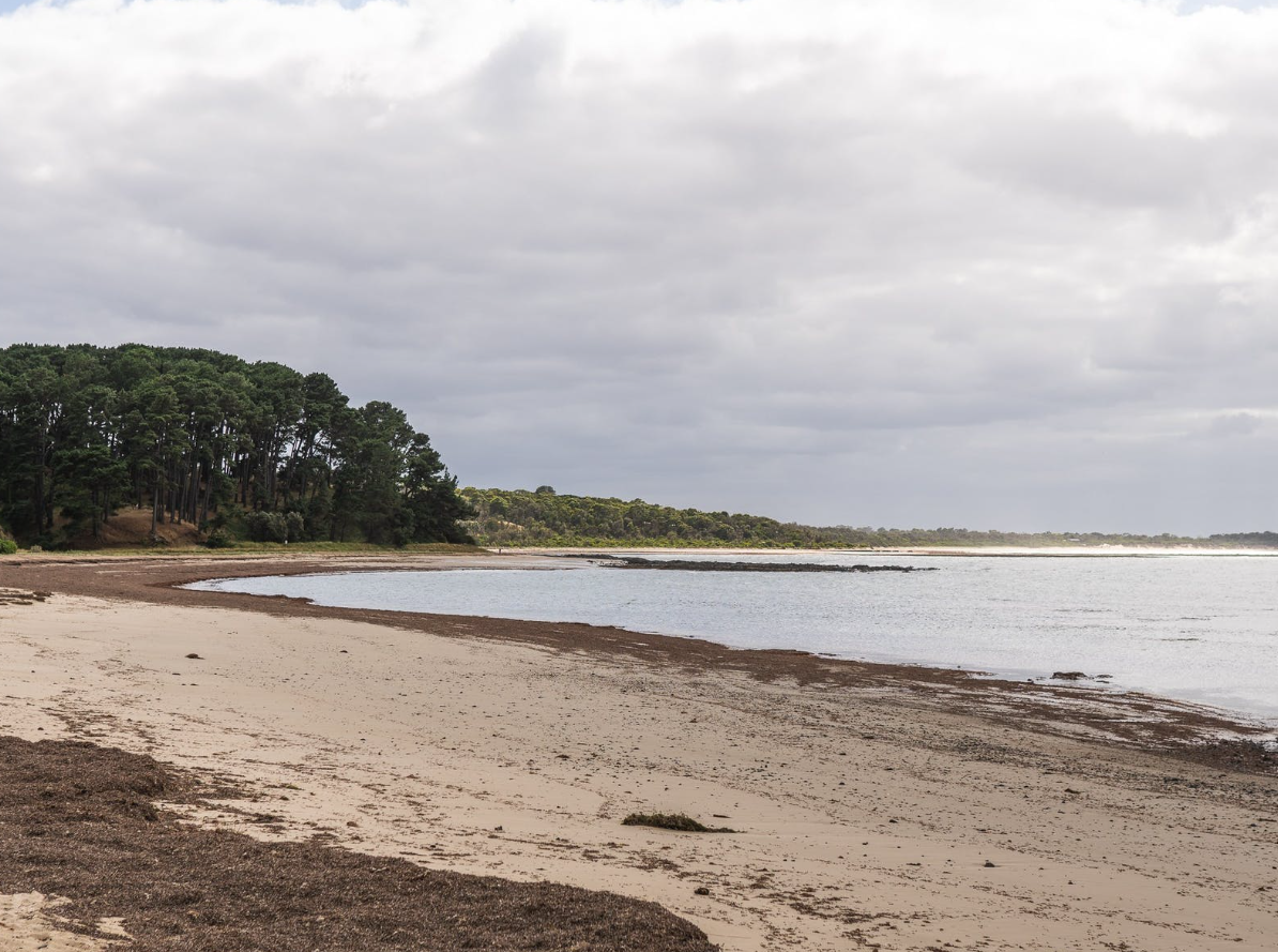 Ben Witten, 9 tuổi, đến từ Shoreham ở West Sussex, Anh, khi đang chơi trên bãi biển thì bất ngờ tìm thấy vật thể lạ sáng bóng. Ảnh: @Bảo tàng Worthing.