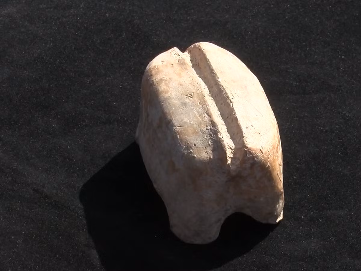 Điều làm nên sự đặc biệt của vật thể có niên đại 7.700 năm tuổi này chính là chức năng của nó và việc nó được chế tác theo hình dạng một con vật. Nó trông giống như một con bò. Ảnh: @Demirören Haber Ajansı.