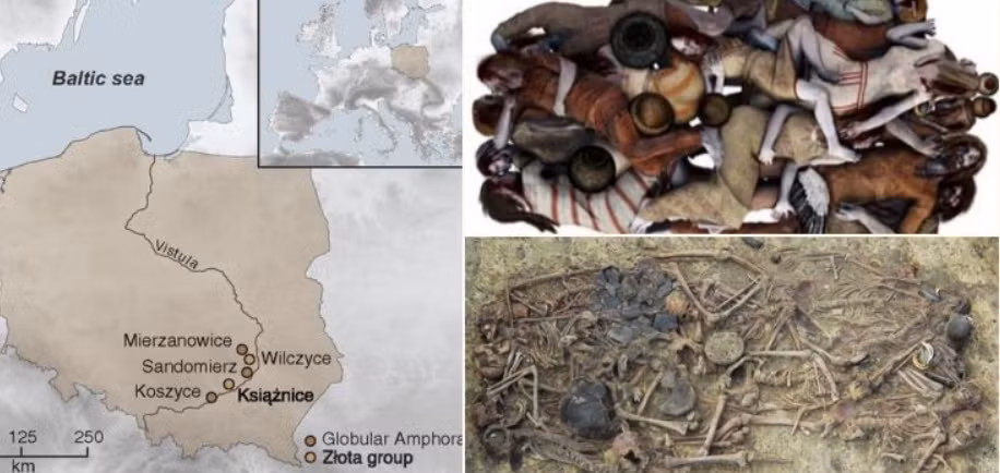 Đó là ngôi mộ tập thể ước tính có niên đại khoảng 5.000 năm tuổi. Ảnh: @Bảo Tàng Quốc Gia Ba Lan.