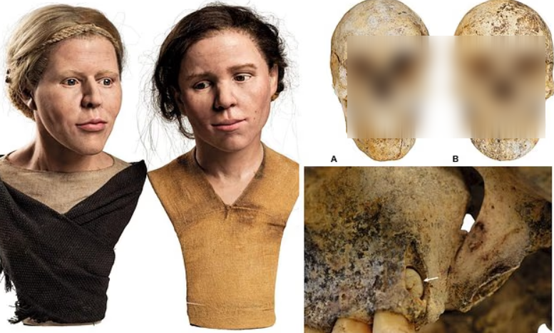 Tất cả được chôn cất cách đây hơn 6.000 năm trong một mỏ đá lửa ở rừng Krumlov. Ảnh: @ J.Vondra.