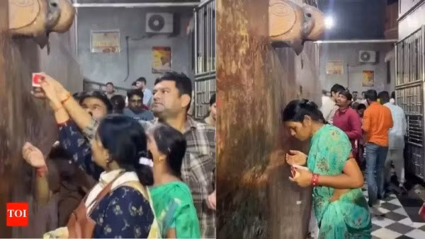 Những vụ việc như "cây thần" ở Pimpri Chinchwad hay "nước thánh" từ tượng voi ở Mathura phản ánh thách thức đang tồn tại trong xã hội hiện đại của Ấn Độ, nơi sự phát triển kinh tế và công nghệ vẫn song hành với những niềm tin truyền thống và đôi khi là mê tín dị đoan. Nó đặt ra câu hỏi về tầm quan trọng của việc phổ cập kiến thức khoa học và tư duy phản biện để giúp người dân phân biệt được sự thật và điều huyễn hoặc.