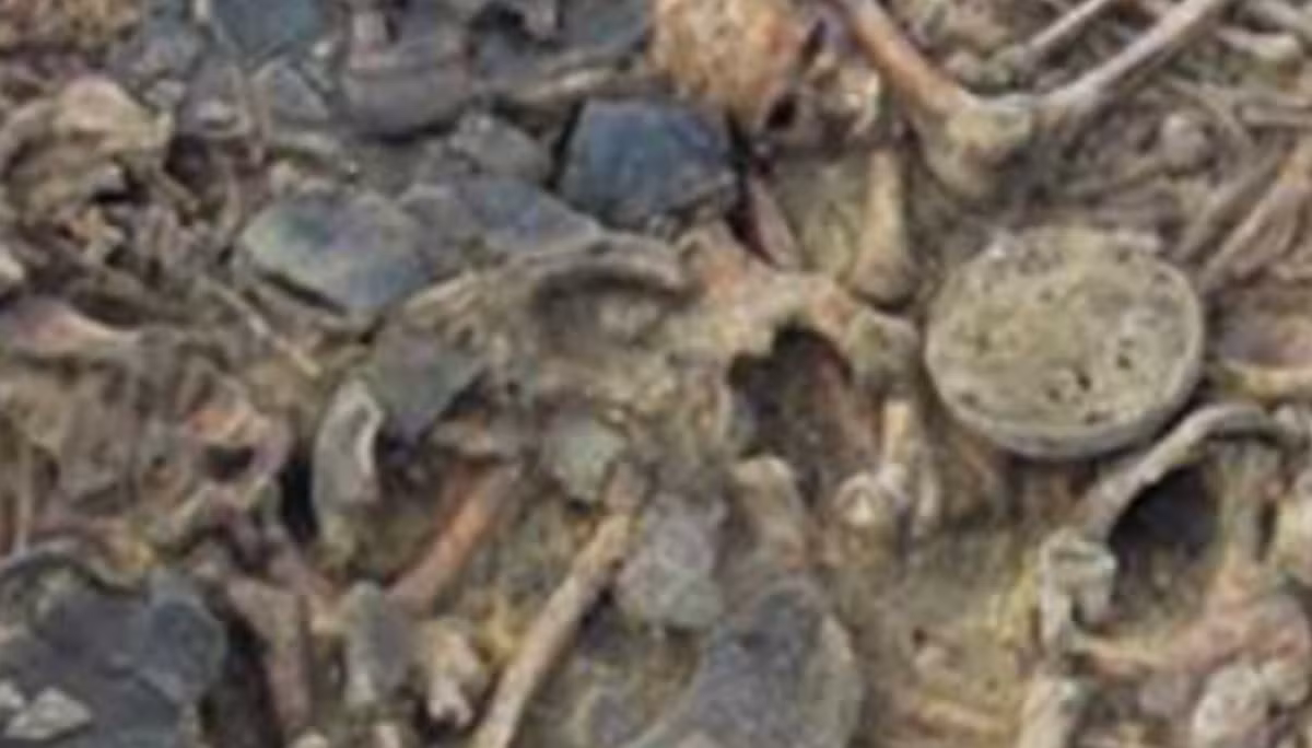 Những đồ tùy táng chôn cất tại đây cho thấy, những người này thuộc nền văn hóa Globular Amphora. Cộng đồng này đã lan rộng khắp châu Âu khoảng 5.000 năm trước và có thể đã xung đột dữ dội với các nhóm cực đoan khác sống trong khu vực tương tự. Ảnh: @Bảo Tàng Quốc Gia Ba Lan.