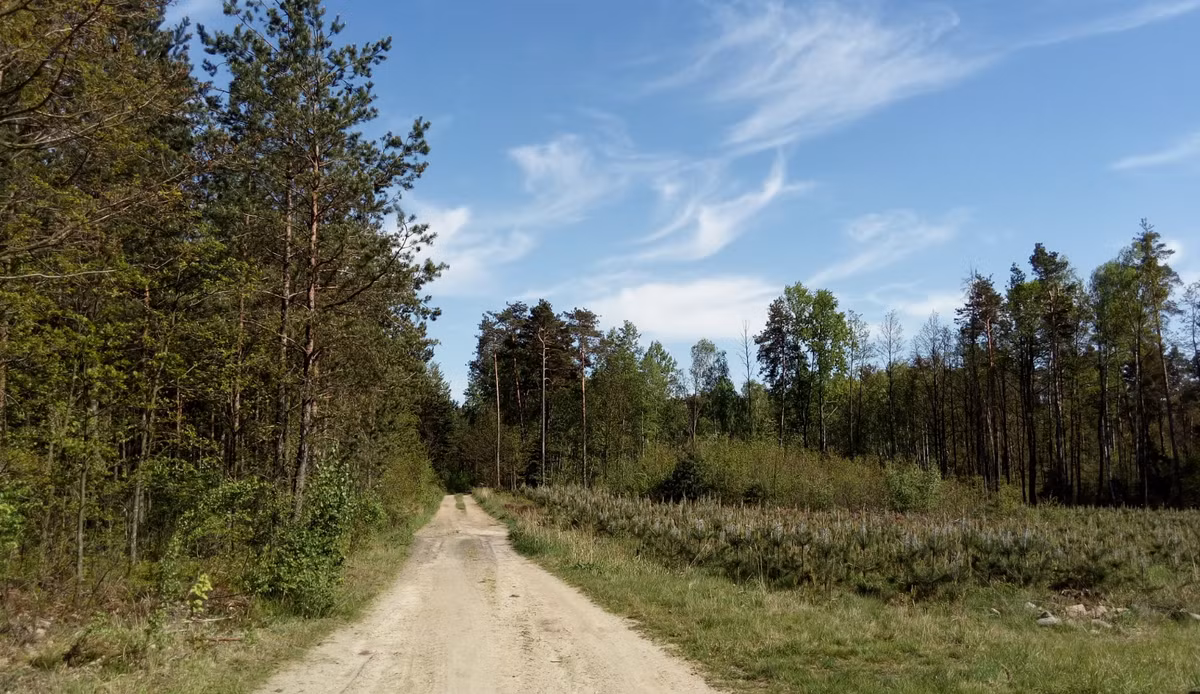 Trong khu rừng Starachowice ở phía đông nam Ba Lan, các thành viên của Nhóm Bảo vệ Di tích Pháo đài bất ngờ tìm thấy hiện vật lạ. Ảnh: @Nhóm Bảo vệ Di tích Pháo đài.