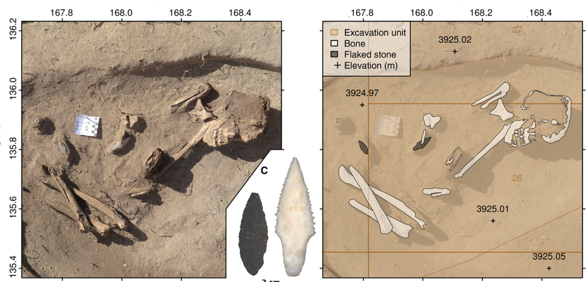 Cụ thể, theo tạp chí Popular Science, một cuộc khai quật tại địa điểm Wilamaya Patjxa ở dãy Andes của Peru đã phát hiện ra hai bộ hài cốt cổ xưa kỳ lạ. Ảnh: @Randall Haas.