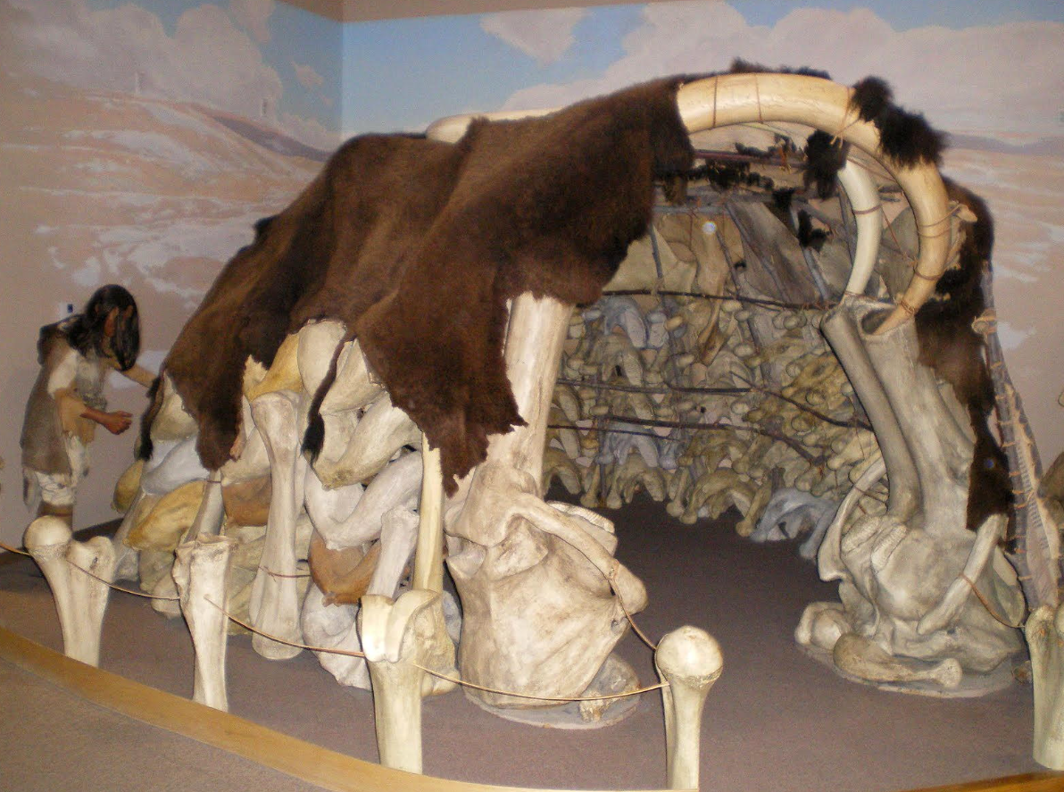 Khám phá này mang đến những hiểu biết thú vị về cách người tiền sử tương tác với môi trường của họ, từ cách họ xẻ thịt những con voi ma mút khổng lồ đến cách họ chế biến ngà voi của con mồi. Ảnh: @Viện Hàn lâm Khoa học Áo.