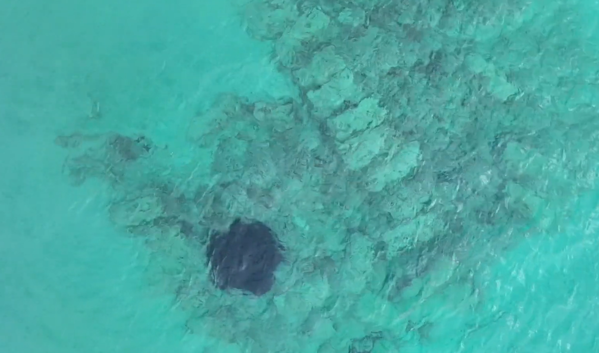 Các nhà nghiên cứu tin rằng, đó là một phần của hệ thống phòng thủ của thành phố cổ, hoặc một công trình thủy lợi liên quan đến việc quản lý bờ biển. Ảnh: @Đại học Khai khoáng Saint Petersburg.